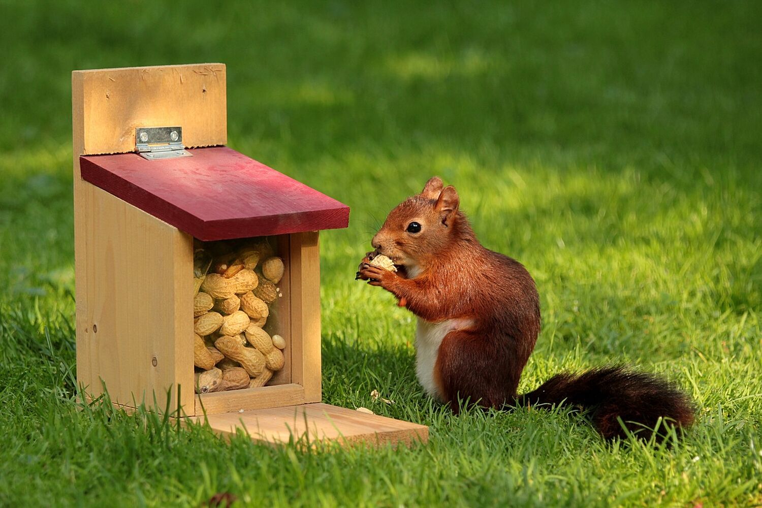 画像1818