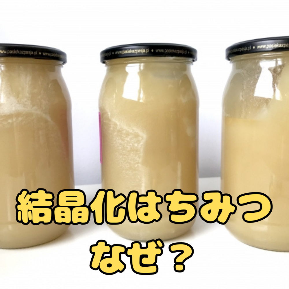 画像6582