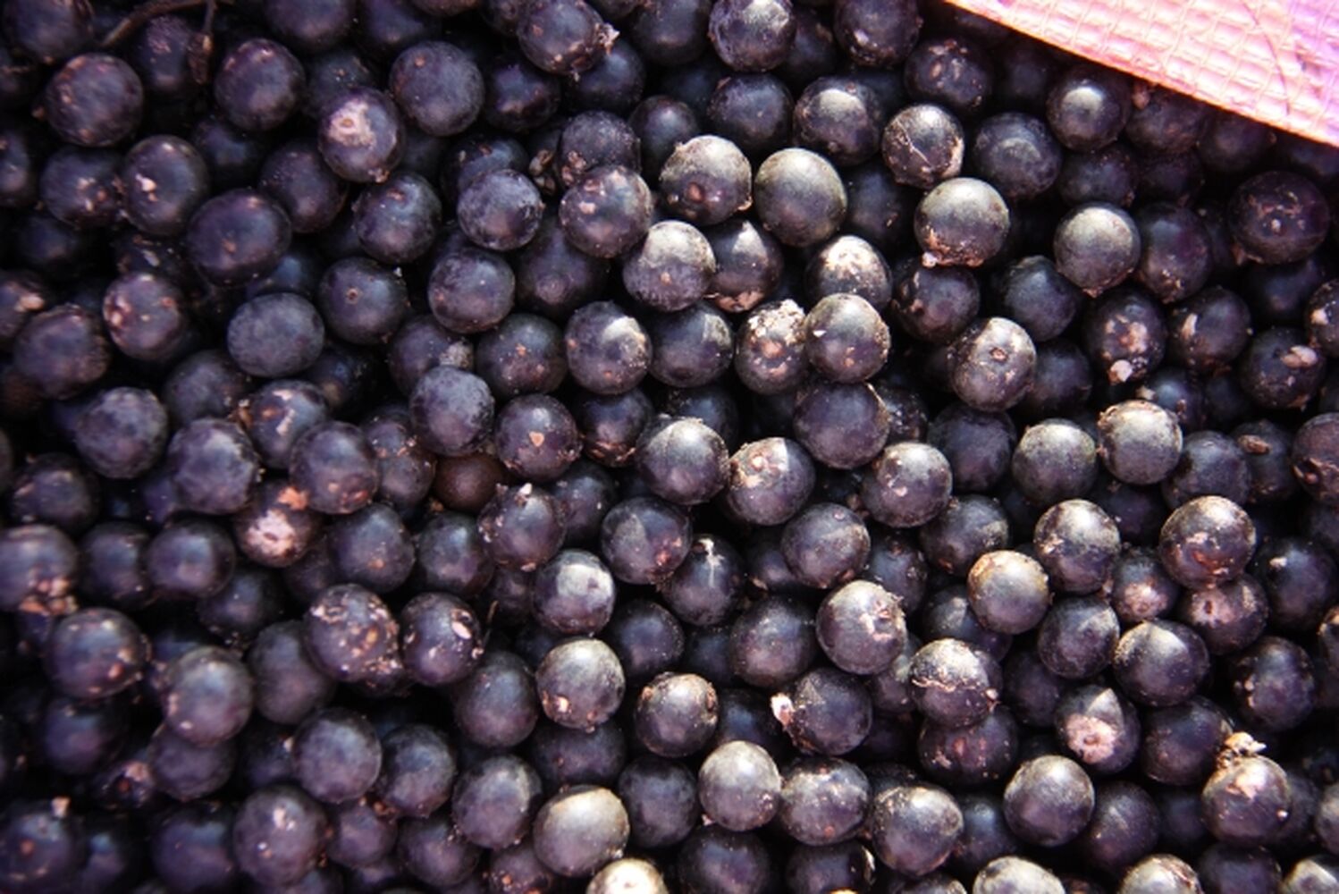 画像5940