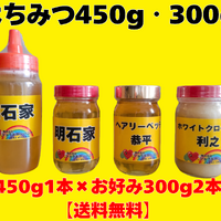 画像10100：はちみつ450g×1本(明石家)