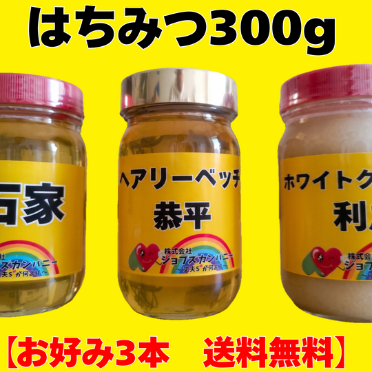 画像10111：はちみつ300ｇ(3本セット)