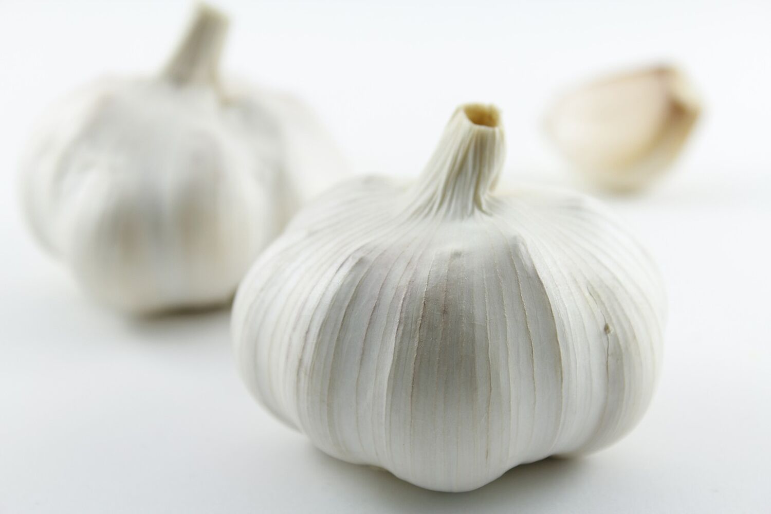 画像1699