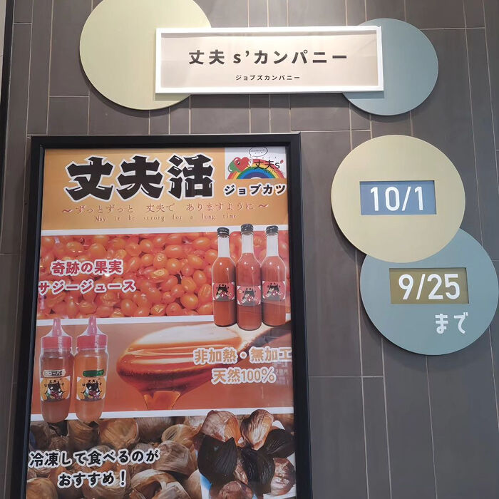 画像2527