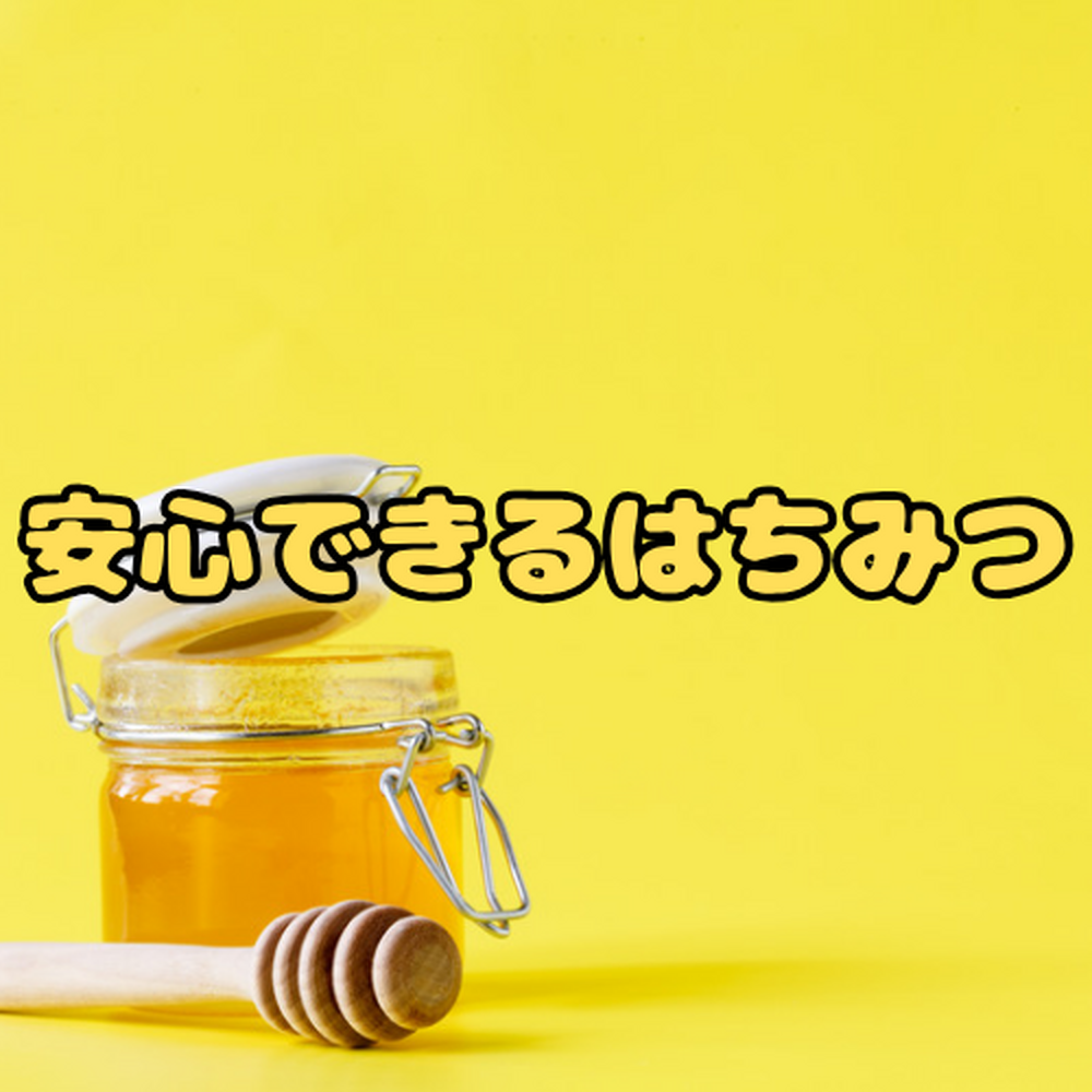 画像6715