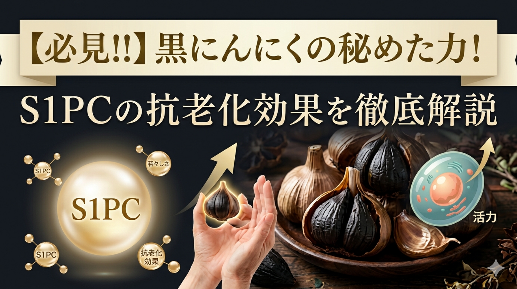 画像10027