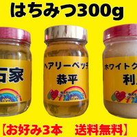 画像10111：벌꿀 450g×1개(아카시가)