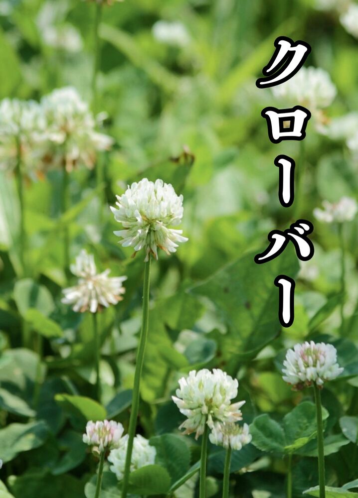 画像6345