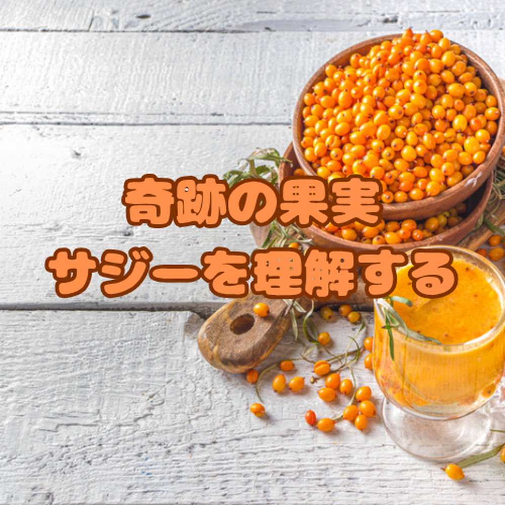 画像6714