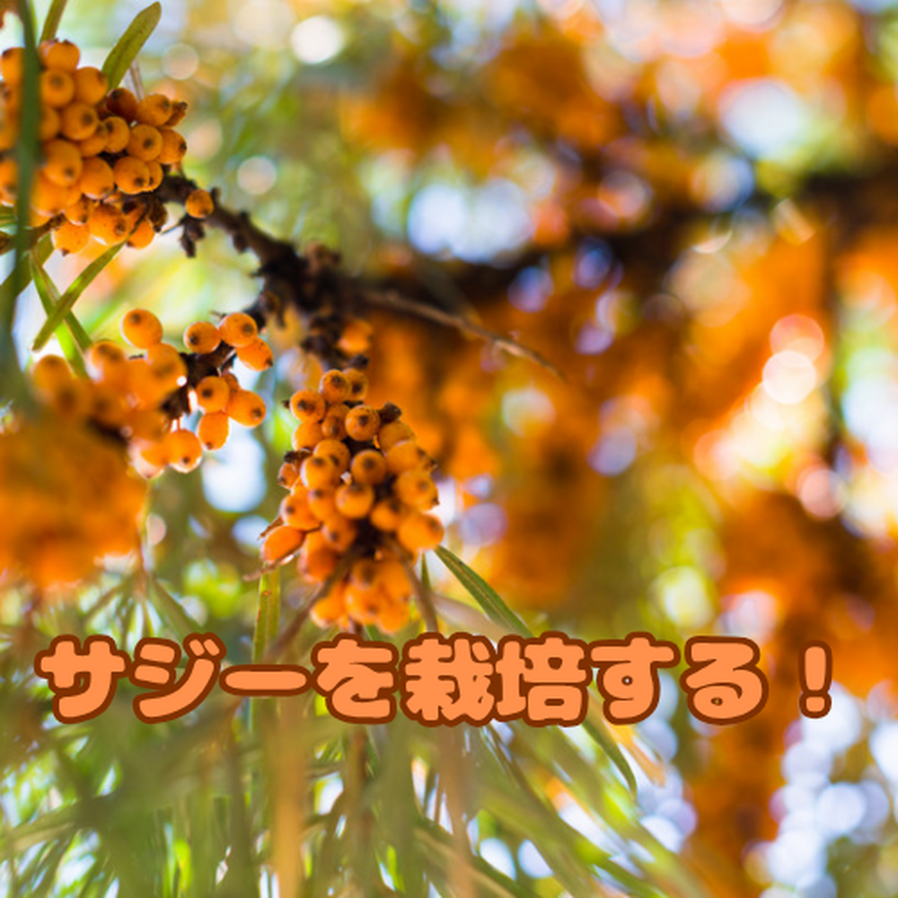 画像6767