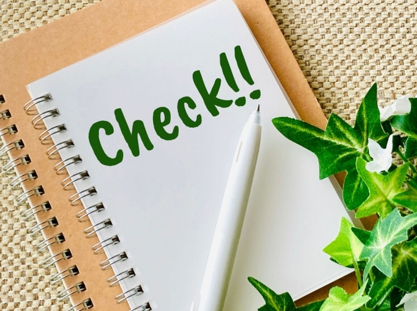 画像6660