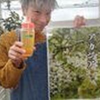 画像6863：450g de mel x 1 garrafa (Akashiya)