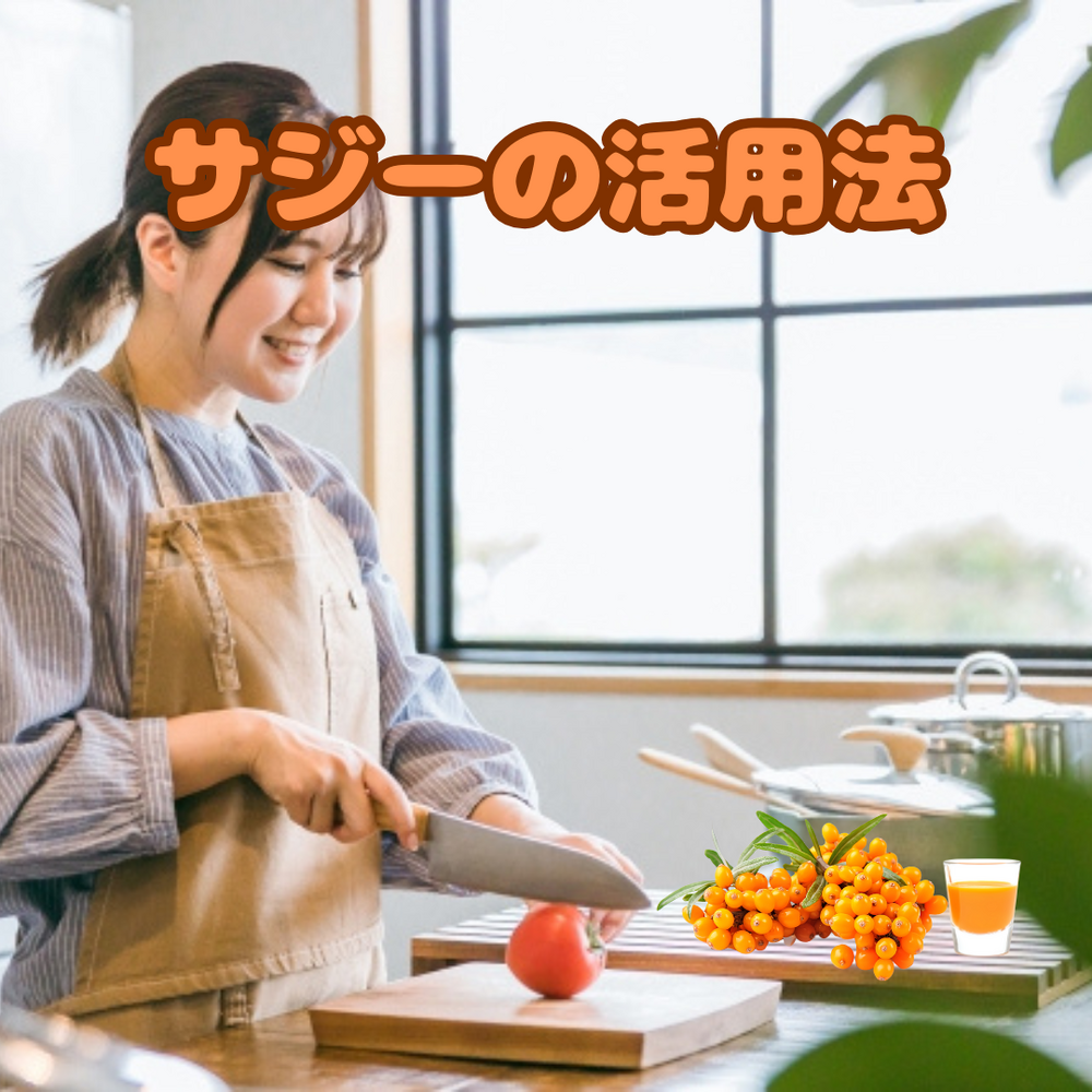 画像6475